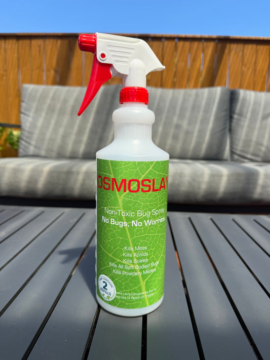 OSMOSLAY starter kit.